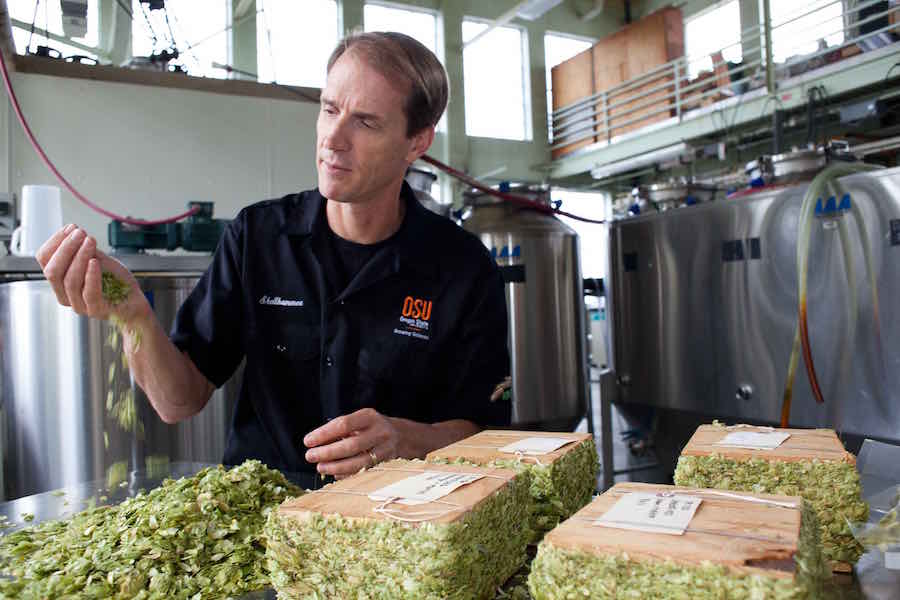 Tom Shellhammer is the Nor'West endowed professor of fermentation science at Oregon State University (Photo: Jeff Basinger)