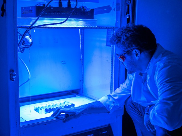 blue light