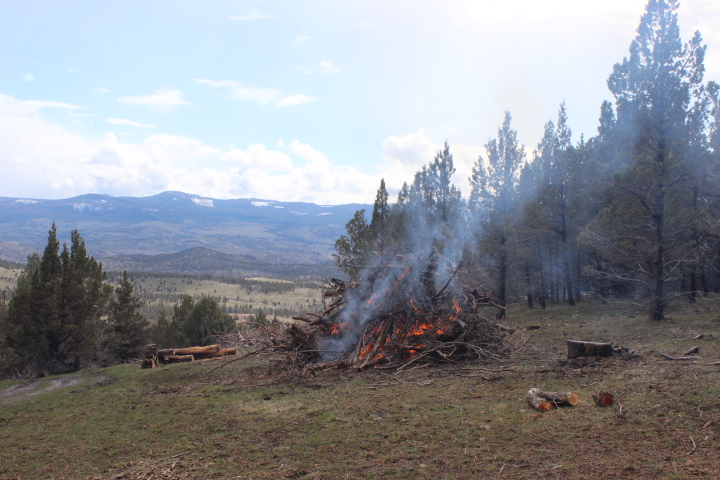 Controlled burn