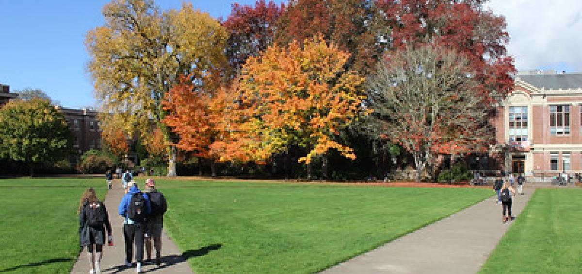 library quad
