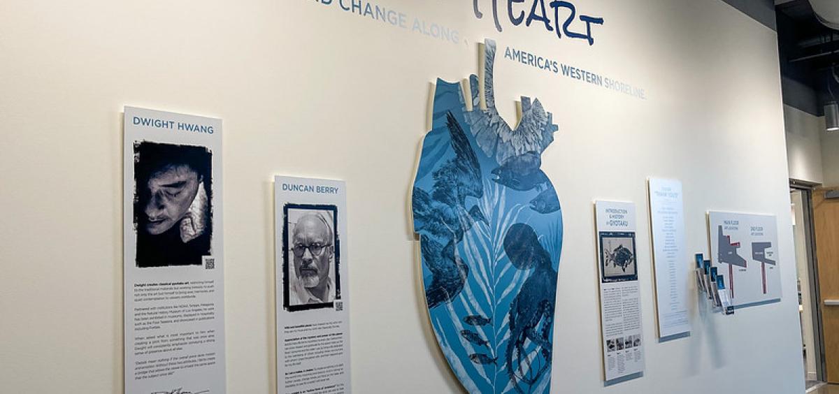 Artist rendering of human heart in blue on a wall with additional display plaques about the exhibit. 