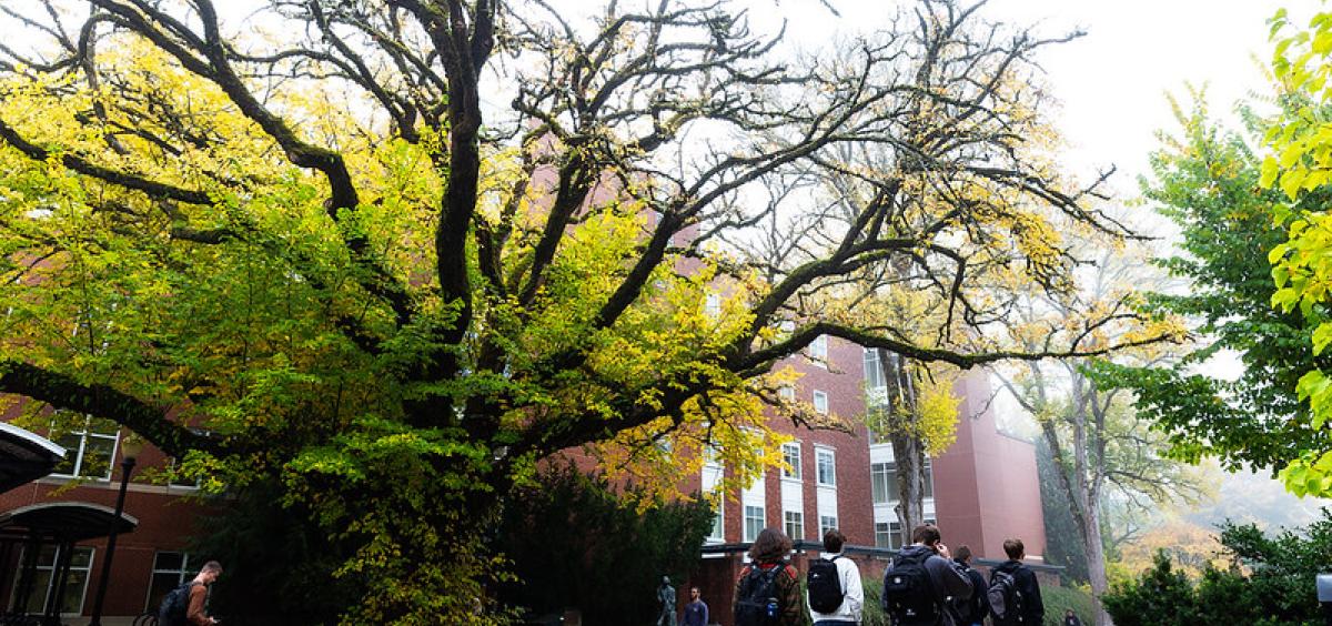 Image of students walking on Corvallis campus 
