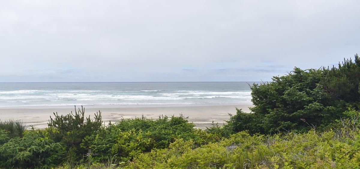 View of Driftwood Beach with ocean waves rolling in