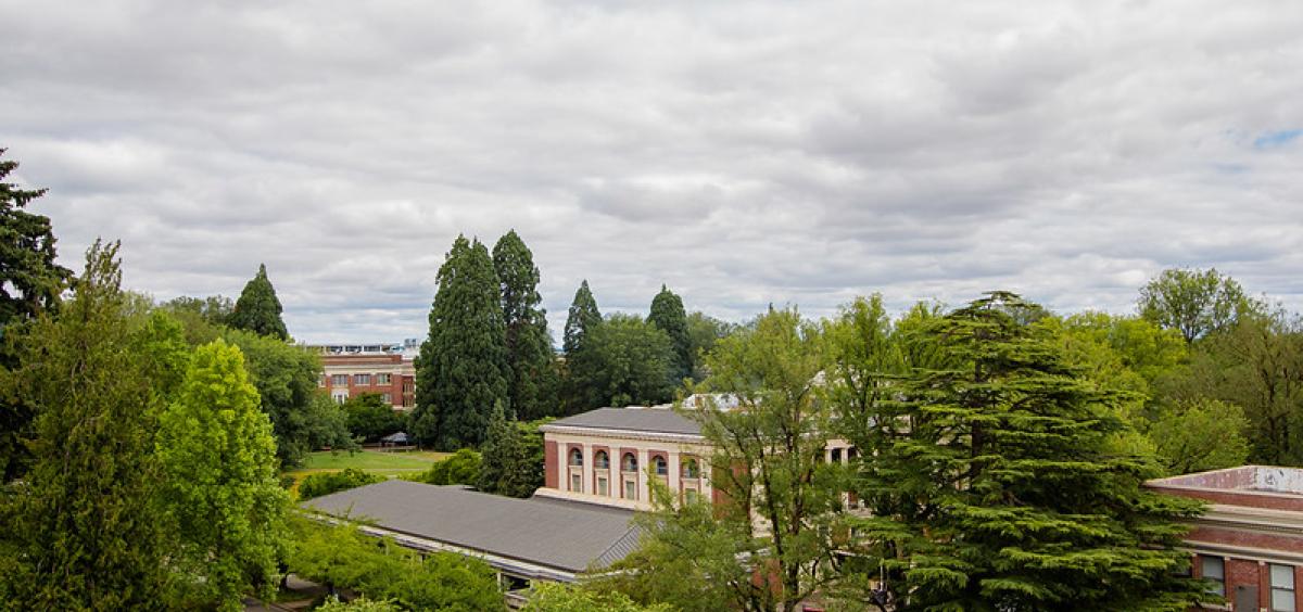OSU campus has been accredited as an arboretum. Photo from University Marketing, Oregon State University.
