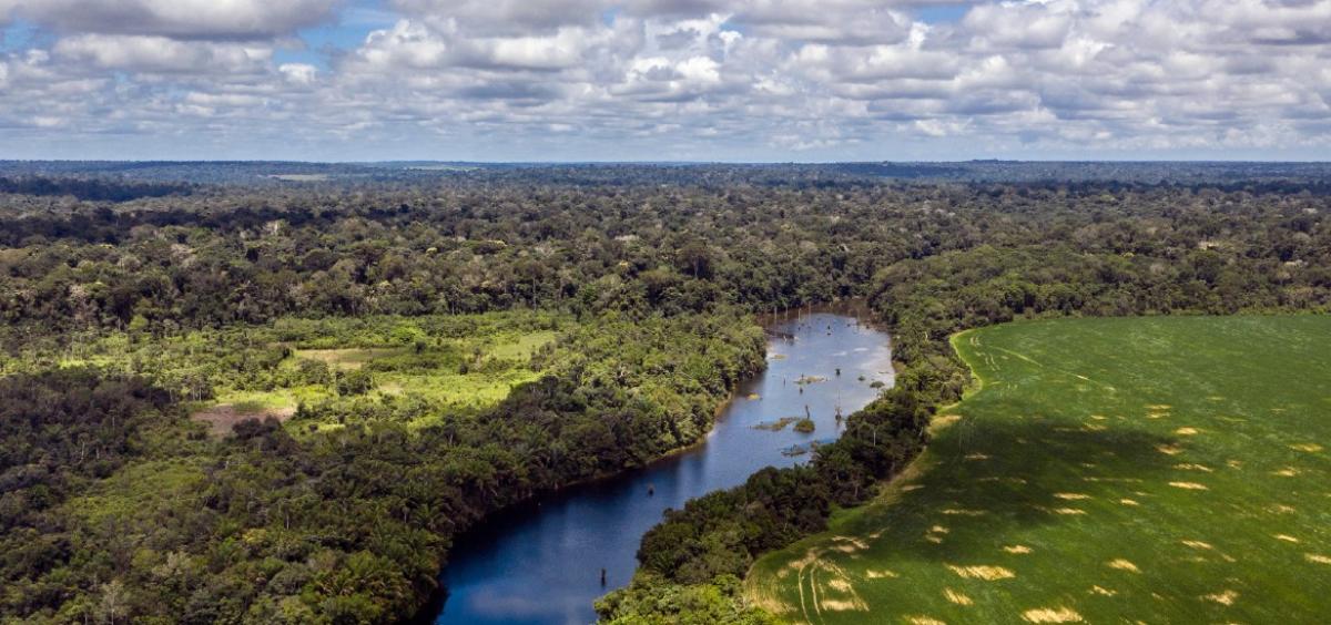 Flona Tapajós, Pará, Brasil by Marizilda Cruppe - Rede