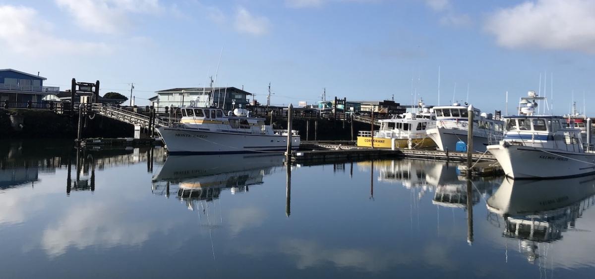 Image of boats at a marina with blue sky overhead
