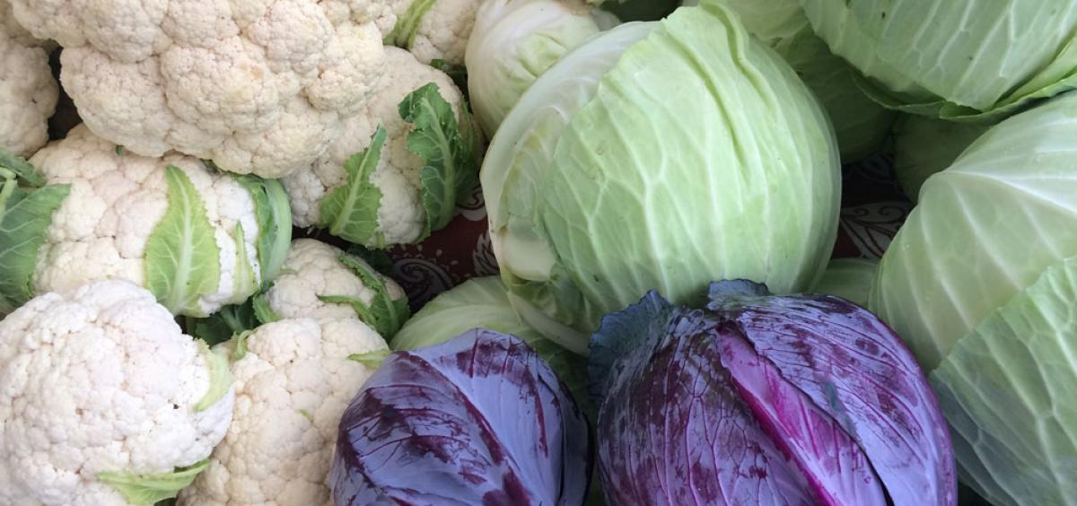 cabbage