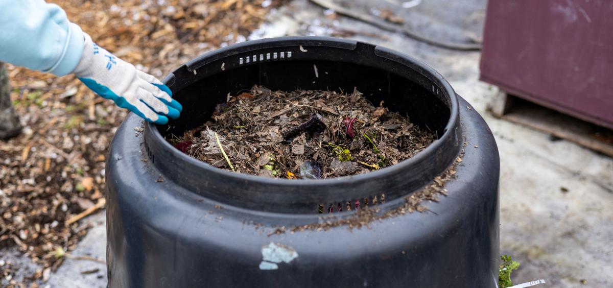 Compost in a large plastic container.