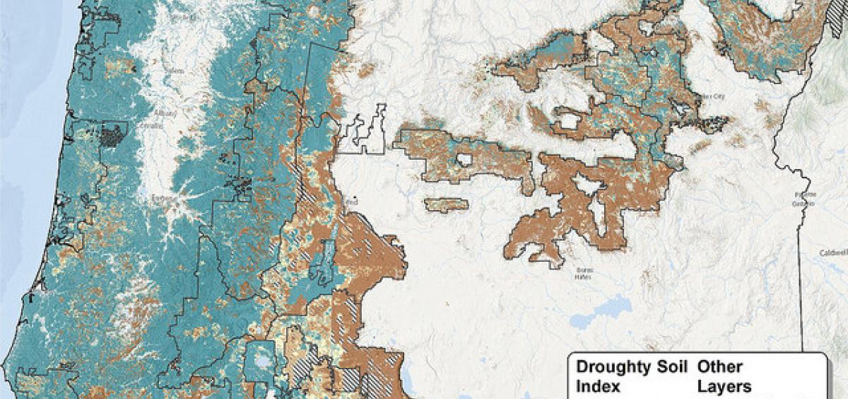 Map shows the probability of drought-prone forest soils in Oregon