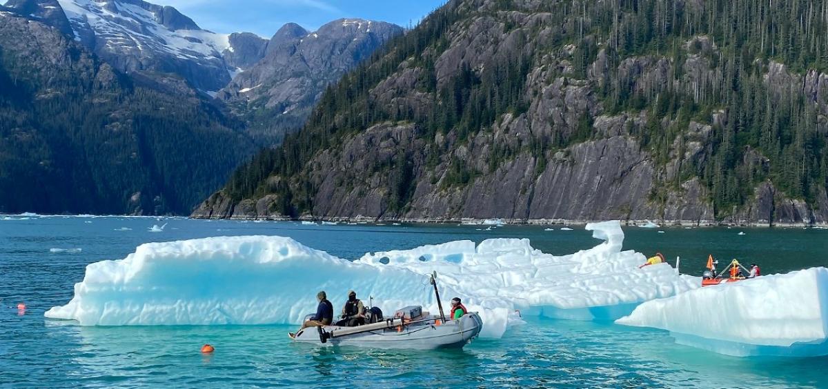 Glacier ice in LeConte Bay near Petersburg, Alaska.