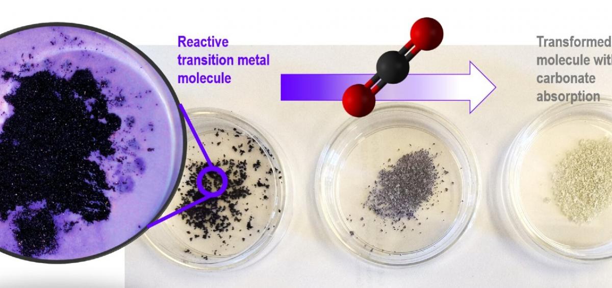 carbon capture process