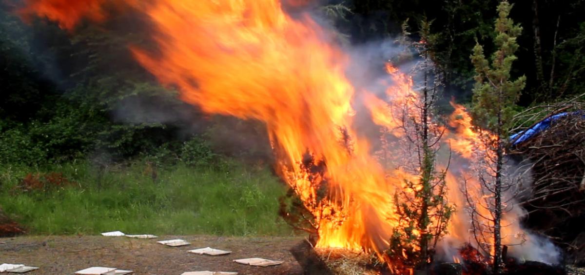 live-fuel wildfire test