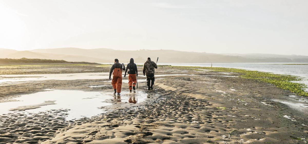 Image shows 3 oyster fishermen in orange waterproof overalls walking over wet sand at Hog Island Oyster Farm, shovels slung over their shoulders.