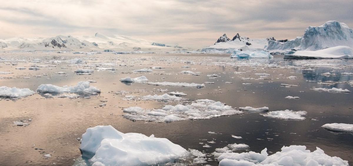 Sea ice