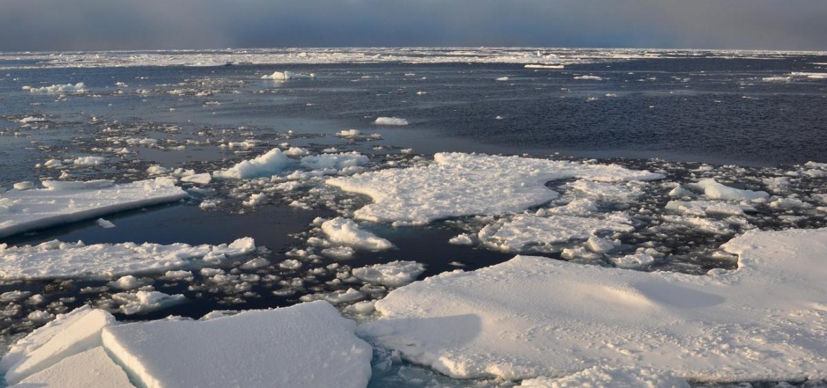 Melting sea ice (credit: Patrick Kelley, CC BY 2.0): <a href="https://en.wikipedia.org/wiki/Sea_ice#/media/File:Arctic_ice.jpg" rel="noreferrer nofollow">en.wikipedia.org/wiki/Sea_ice#/media/File:Arctic_ice.jpg</a>