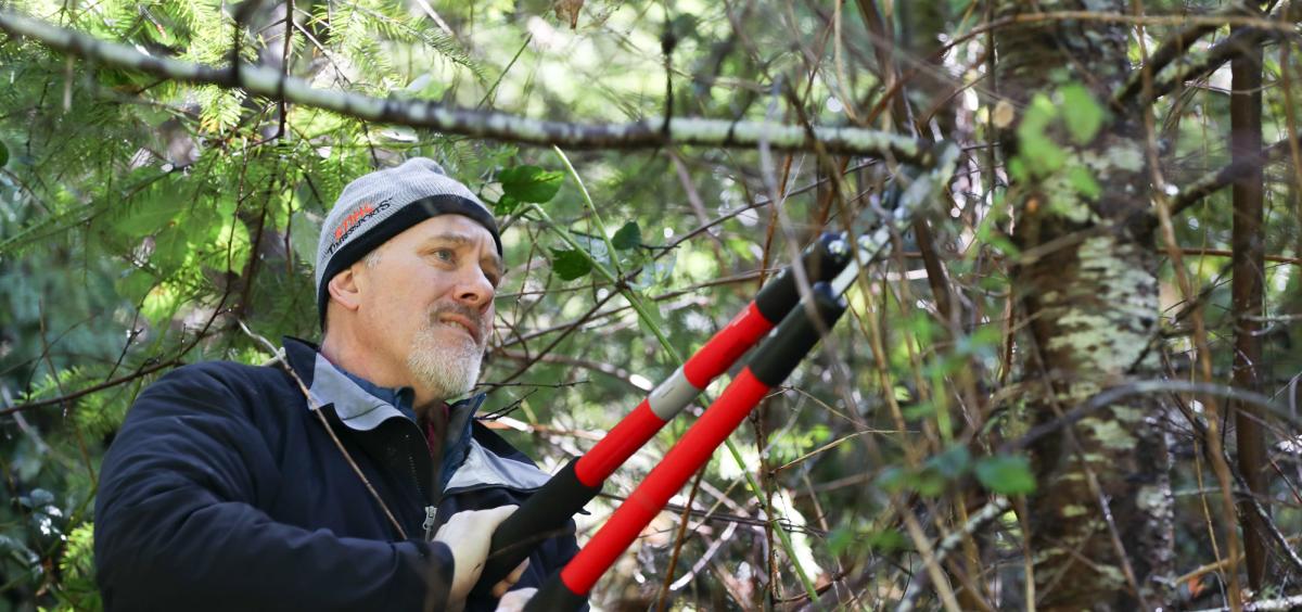 Knowledge is everything when it comes to pruning mature trees.