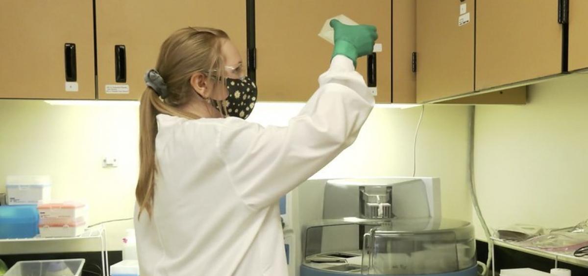 Checking samples in the OVDL