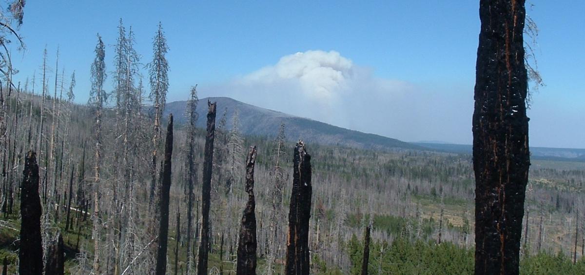 Warm Springs lightning complex fire
