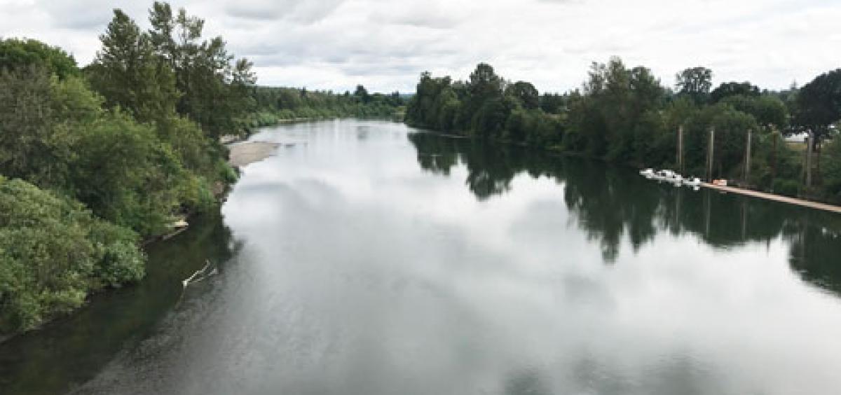 The Willamette River, looking north from the Harrison Street Bridge in Corvallis