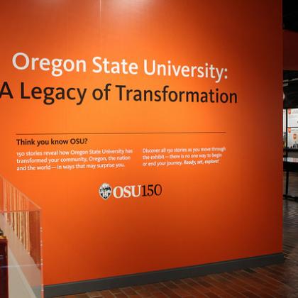 image of exhibit wall 