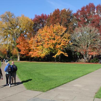 library quad