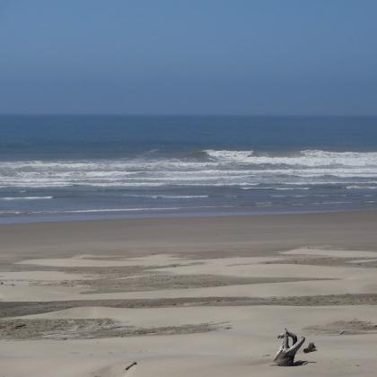 Image of sandy beach and ocean waves at Driftwood Beach State Recreation Site. 