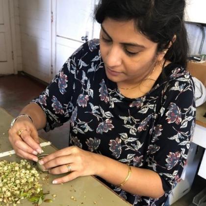 Priyadarshini Chakrabarti