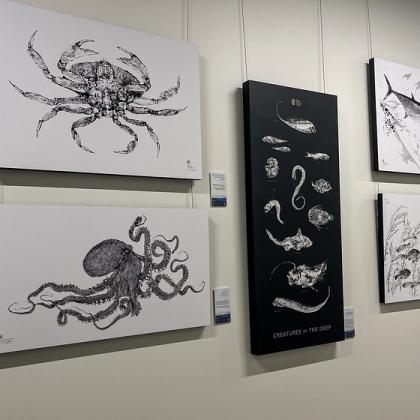 Artistic renderings of sea creatures in black ink on canvases hanging on a all 