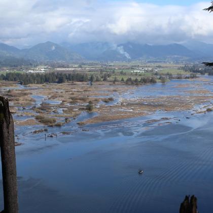 View of restored wetlands in the Tillamook Bay 