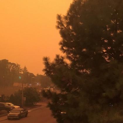 Smoke from a wildfire chokes the air in a neighborhood 