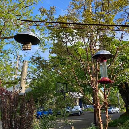 bird feeder