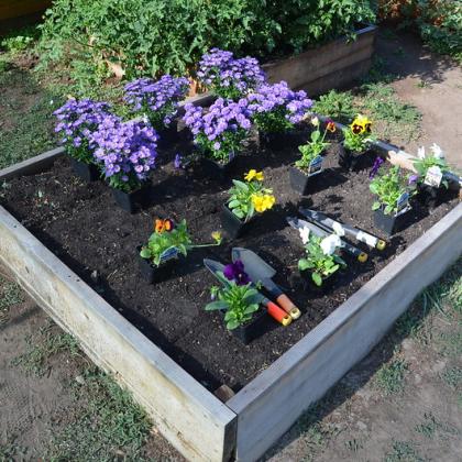 Raised bed