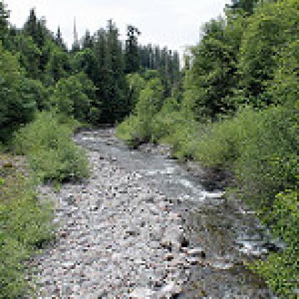 Lookout Creek in the H.J. Andrews Experimental Forest (Photo: Theresa Hogue)