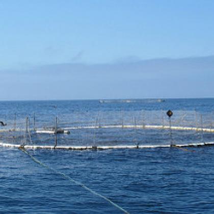 Aquaculture
