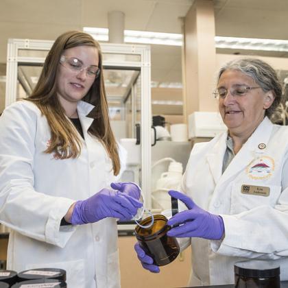 Holly Dixon and Kim Anderson prepare a sampling wristband for analysis