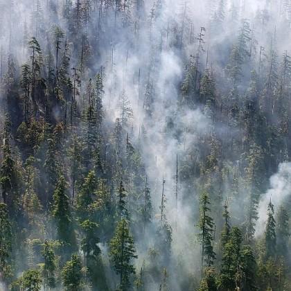 Beachie Creek fire