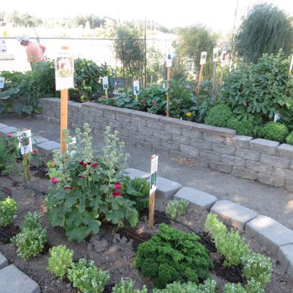raised garden bed