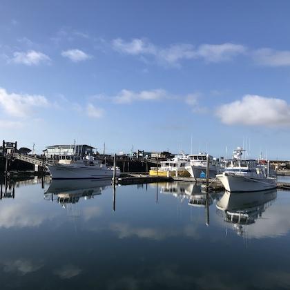Image of boats at a marina with blue sky overhead