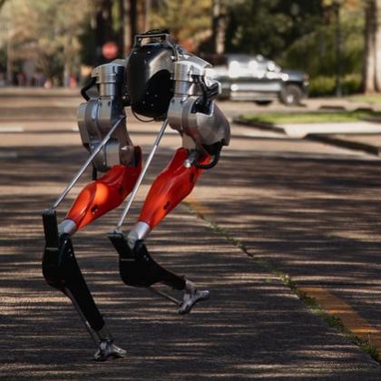 Cassie the robot