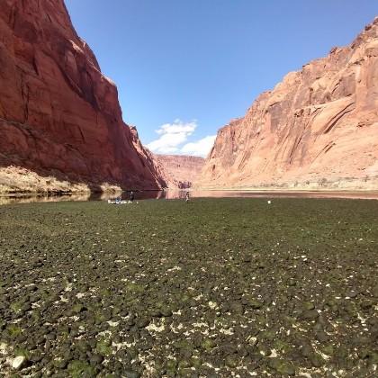 Glen Canyon photo by Jeremy Monroe, Freshwaters Illustrated/USGS