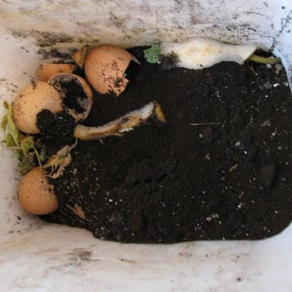 coffee grounds are mixed into a compost container with egg shells