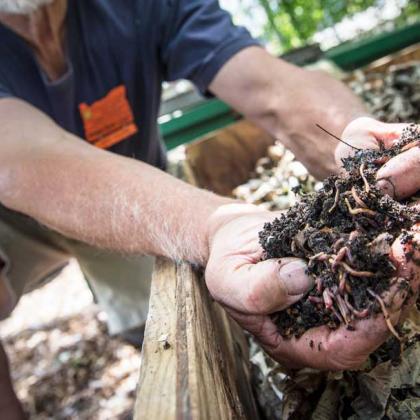 compost