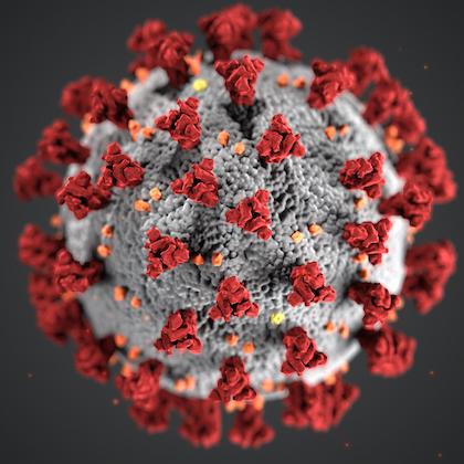 Stock image of the coronavirus: round ball with red spikes against a dark background