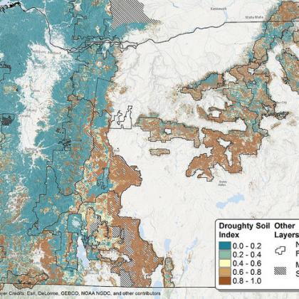Map shows the probability of drought-prone forest soils in Oregon