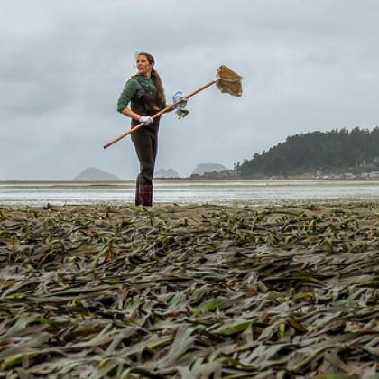 Sea grass research