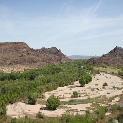 Bill Williams River