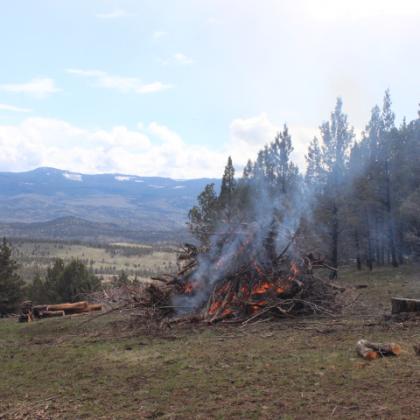 Controlled burn