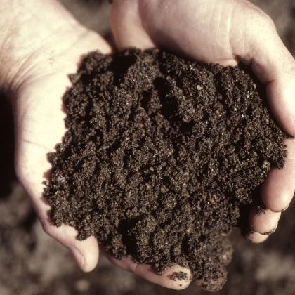 Hands holding soil.