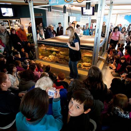 Visitor Center crowd at Hatfield Marine Science Center