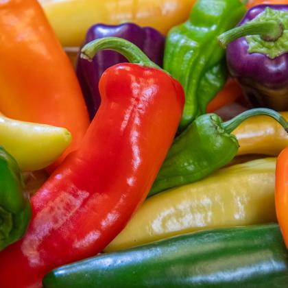 Growing peppers in maritime Northwest is more challenging than in Mexico, but it cane be done.